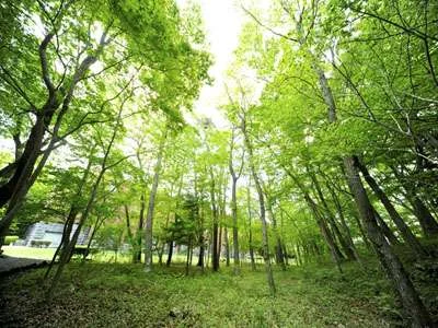 ヴィラ本栖からの絶景・眺望