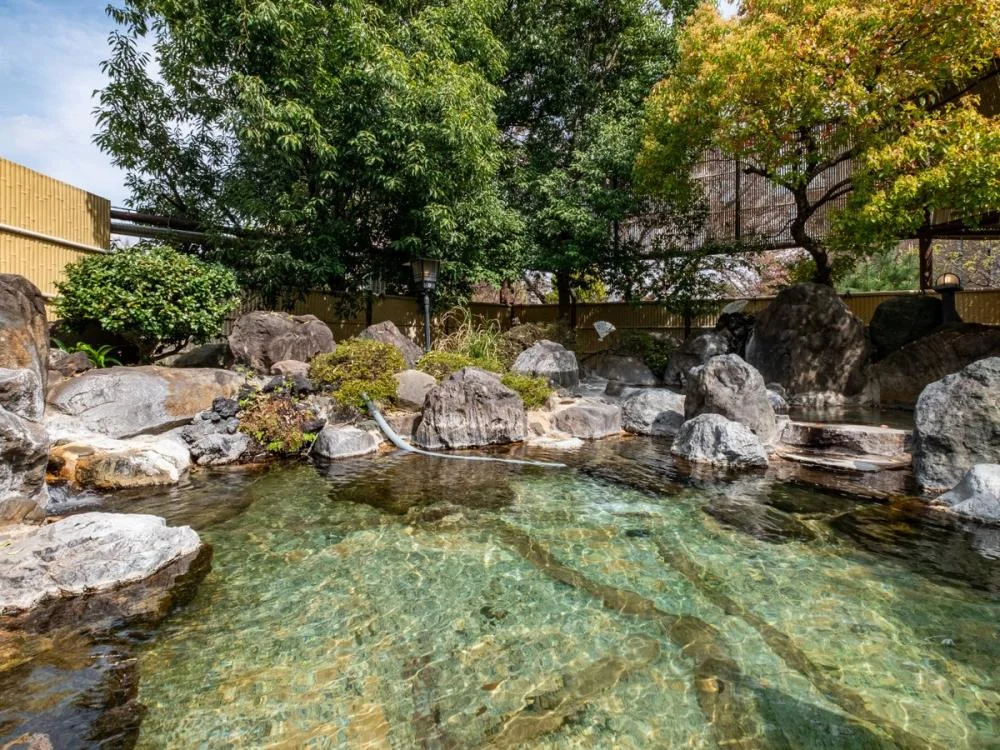 石和温泉 美と健康と癒しの宿 ホテル八田の大浴場
