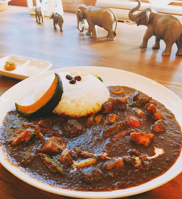 月夜のライオン 1枚目