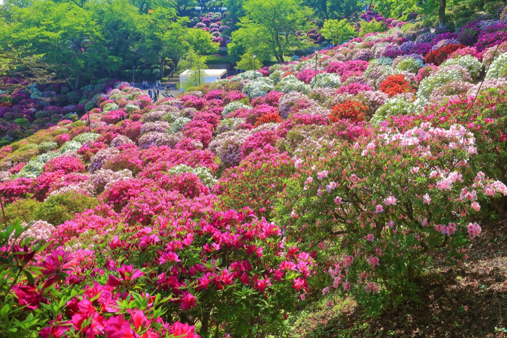 西山公園