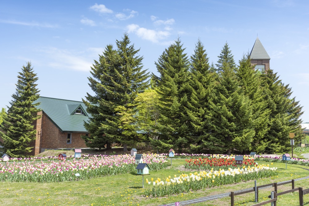 滝野すずらん丘陵公園 5枚目
