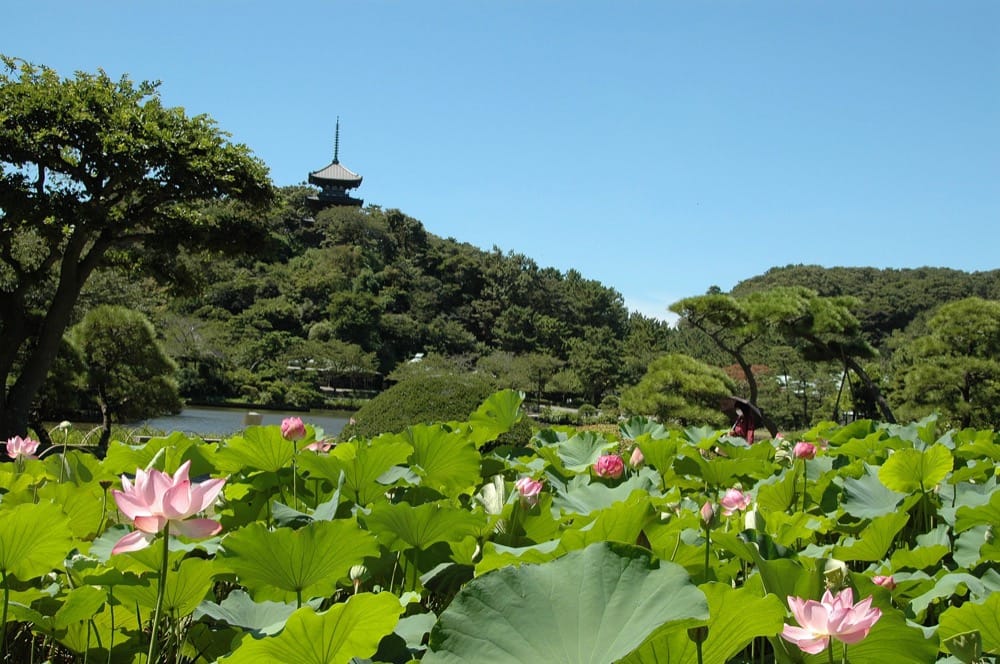 三溪園