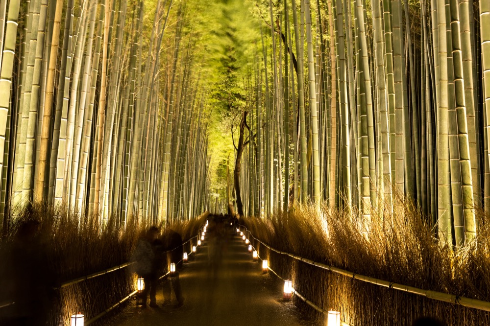 嵐山花灯路 6枚目