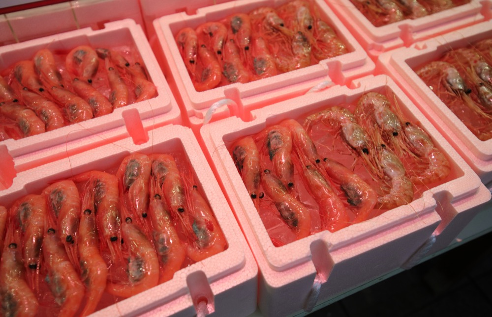 甘エビ