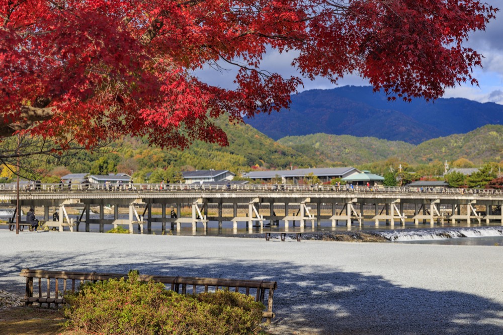 渡月橋 6枚目