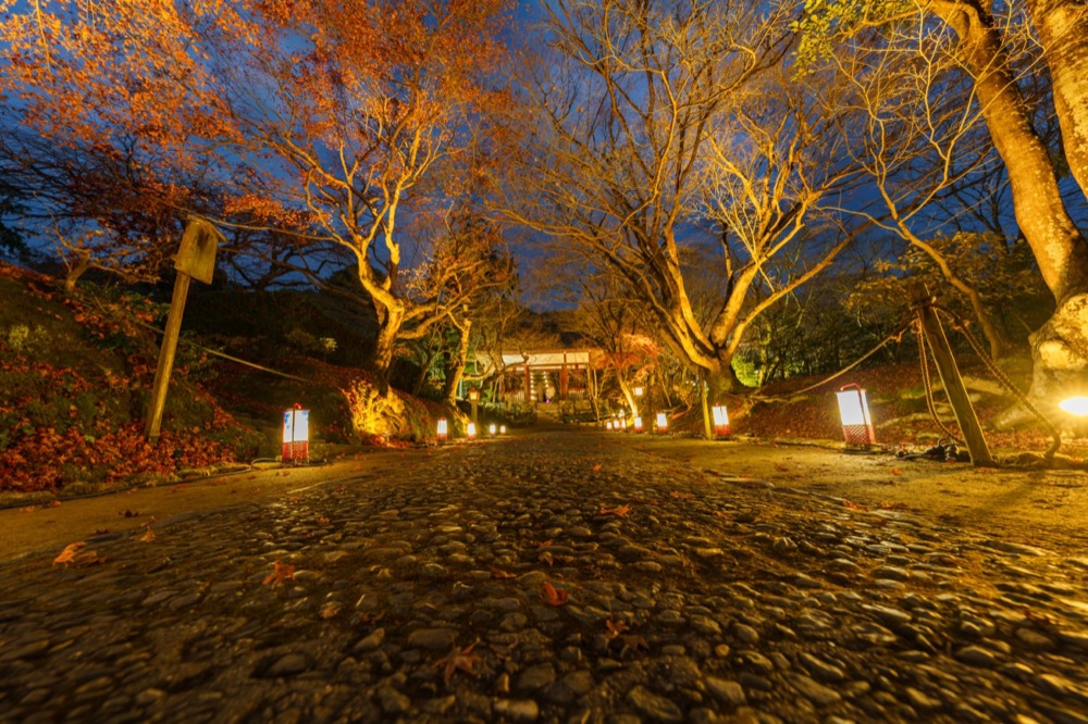 嵐山花灯路 4枚目