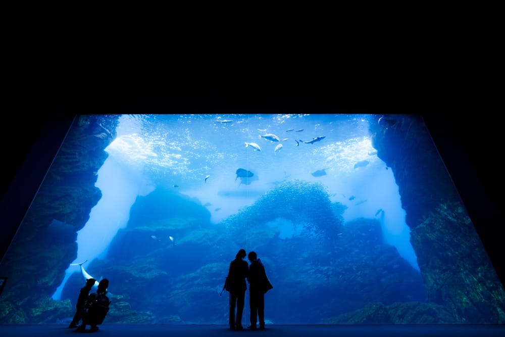 仙台うみの杜水族館