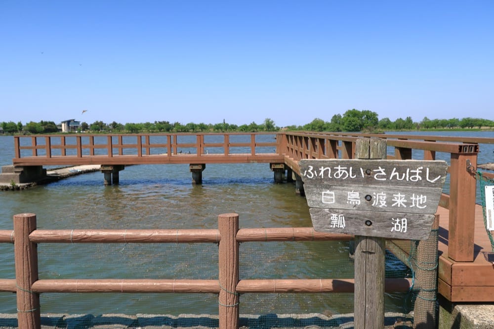 瓢湖水きん公園
