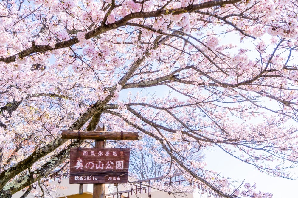 美の山公園