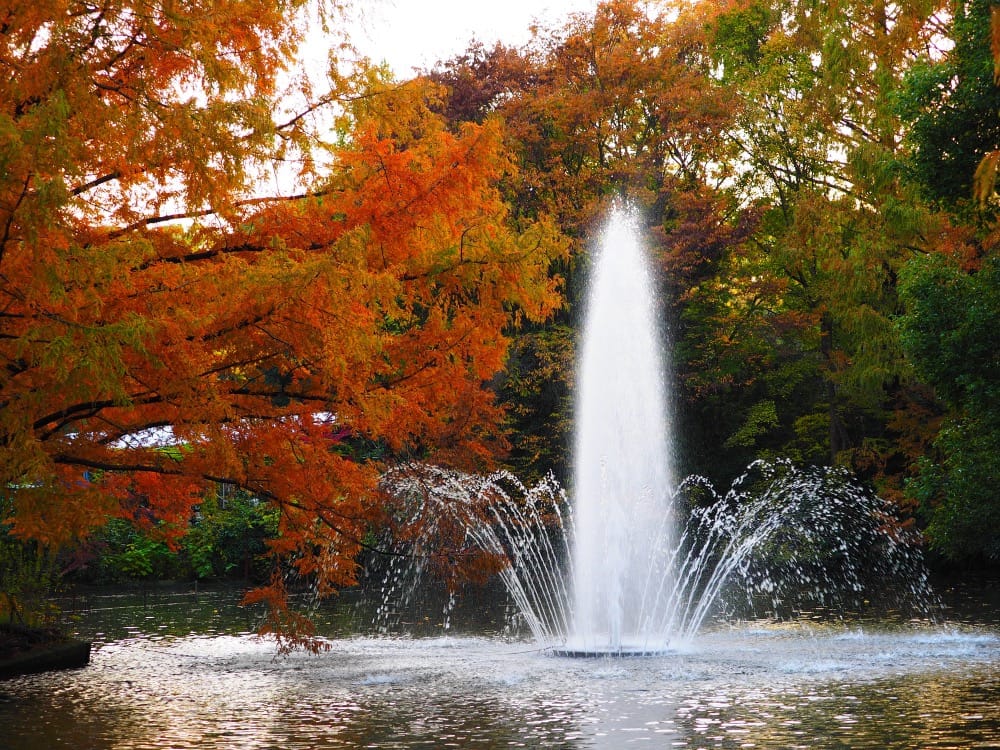 大宮公園