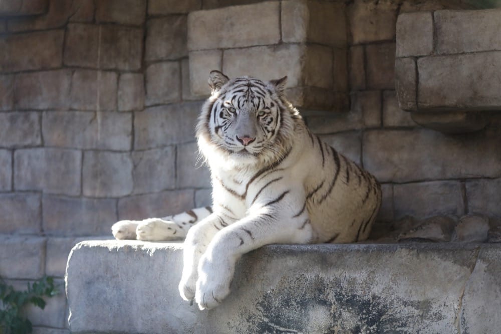 東武動物公園