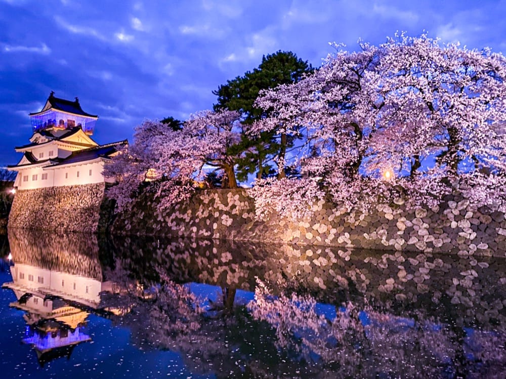 富山城址公園