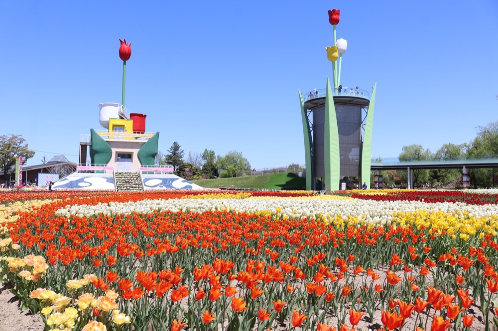 砺波チューリップ公園
