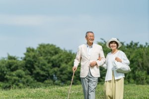 シニア旅のイメージ