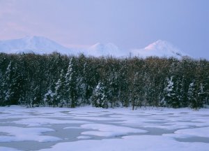 冬の観光スポットのイメージ