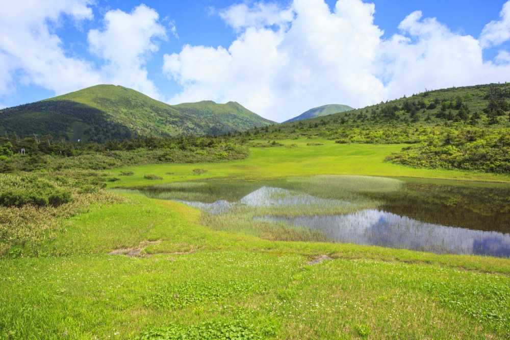 青森市のイメージ