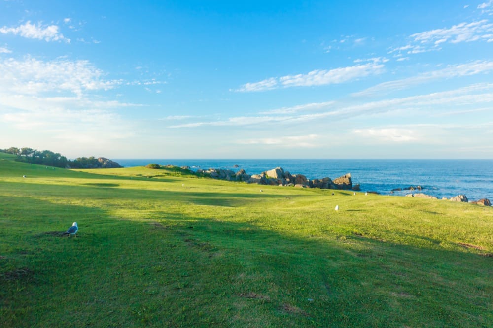 八戸のイメージ