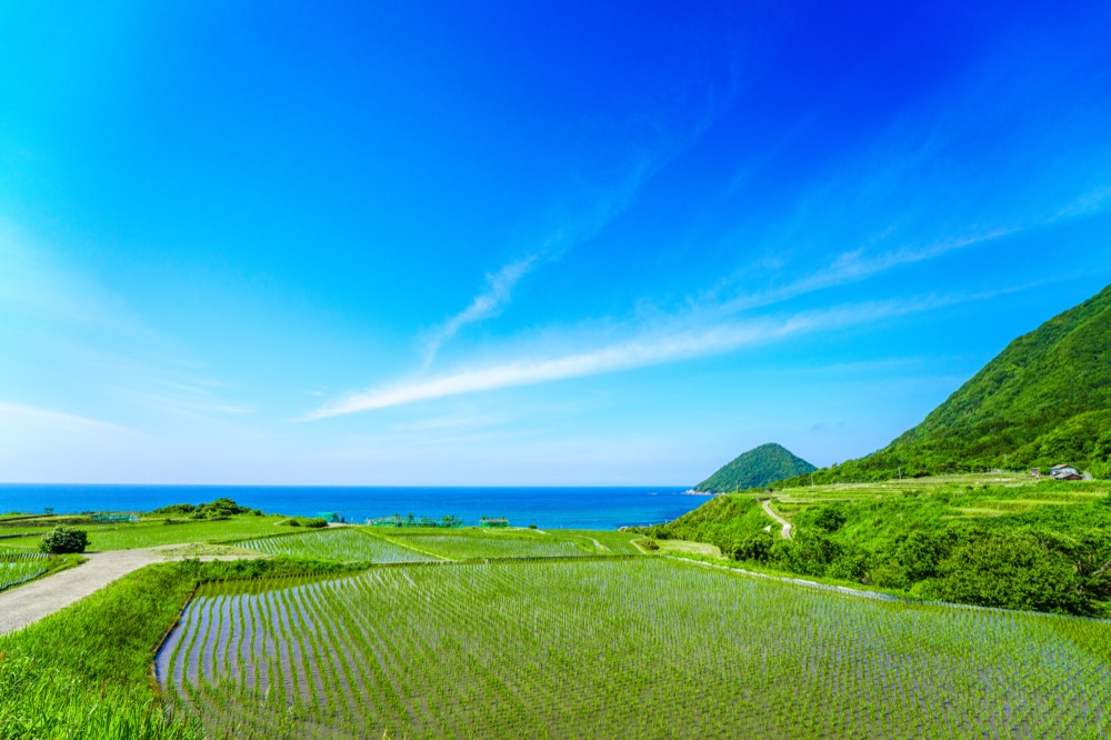 丹後のイメージ