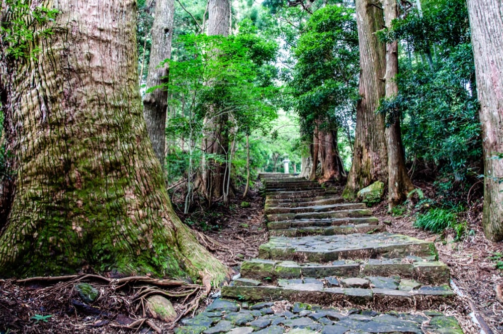 和歌山県のイメージ