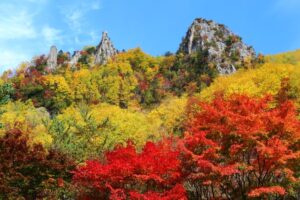 紅葉のイメージ
