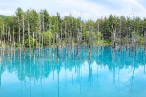 北海道 観光スポットのイメージ
