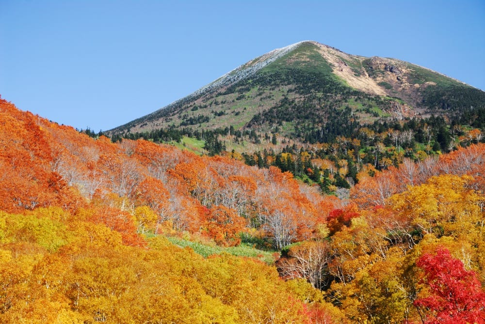 八甲田ロープウェー・山頂公園の紅葉の絶景
