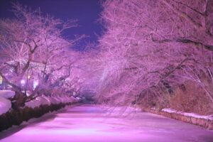 冬の観光スポットのイメージ