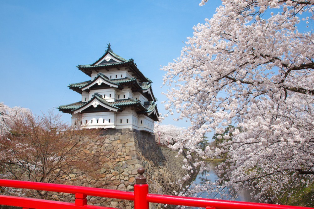 弘前公園と弘前城の桜