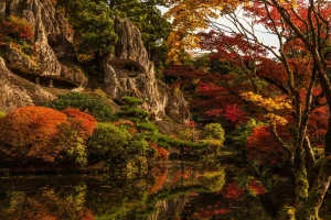 紅葉のイメージ