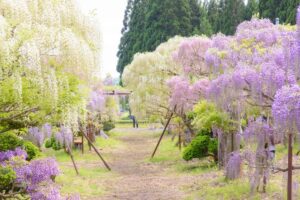 春の観光スポットのイメージ