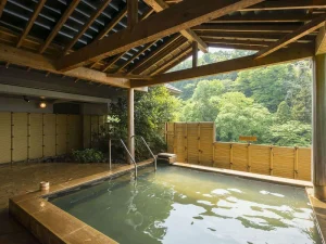 温泉が魅力のイメージ