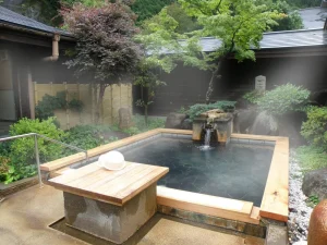 温泉が魅力のイメージ
