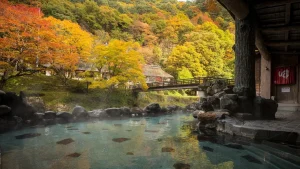 温泉が魅力のイメージ
