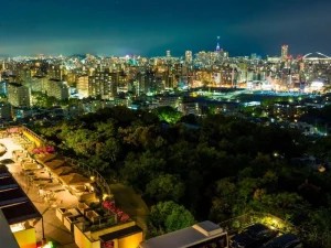 夜景が魅力のイメージ