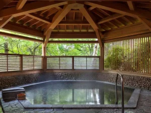 温泉が魅力のイメージ