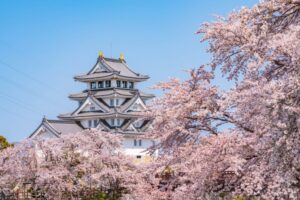 春の観光スポットのイメージ