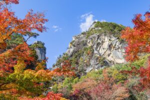 紅葉のイメージ