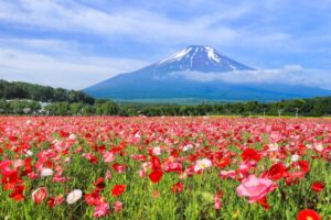 女子旅のイメージ