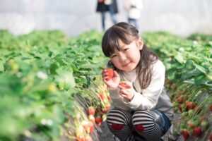 子供連れのイメージ