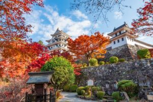 紅葉のイメージ