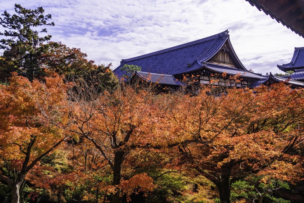 京都で紅葉が綺麗なスポット