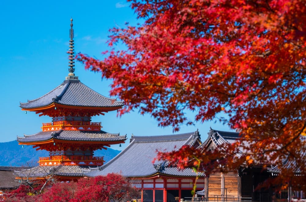 秋に行くべき京都の観光スポット