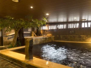 温泉が魅力のイメージ