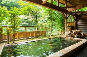 温泉が魅力のイメージ