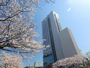 200室以上の大型宿のイメージ