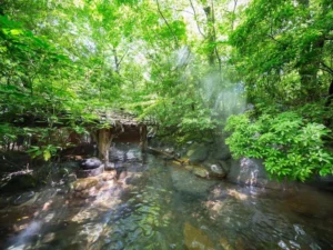 温泉が魅力のイメージ