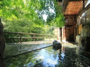温泉が魅力のイメージ
