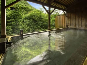 温泉が魅力のイメージ
